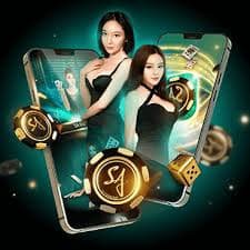 sng88